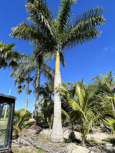 Reformas Nursery LLC